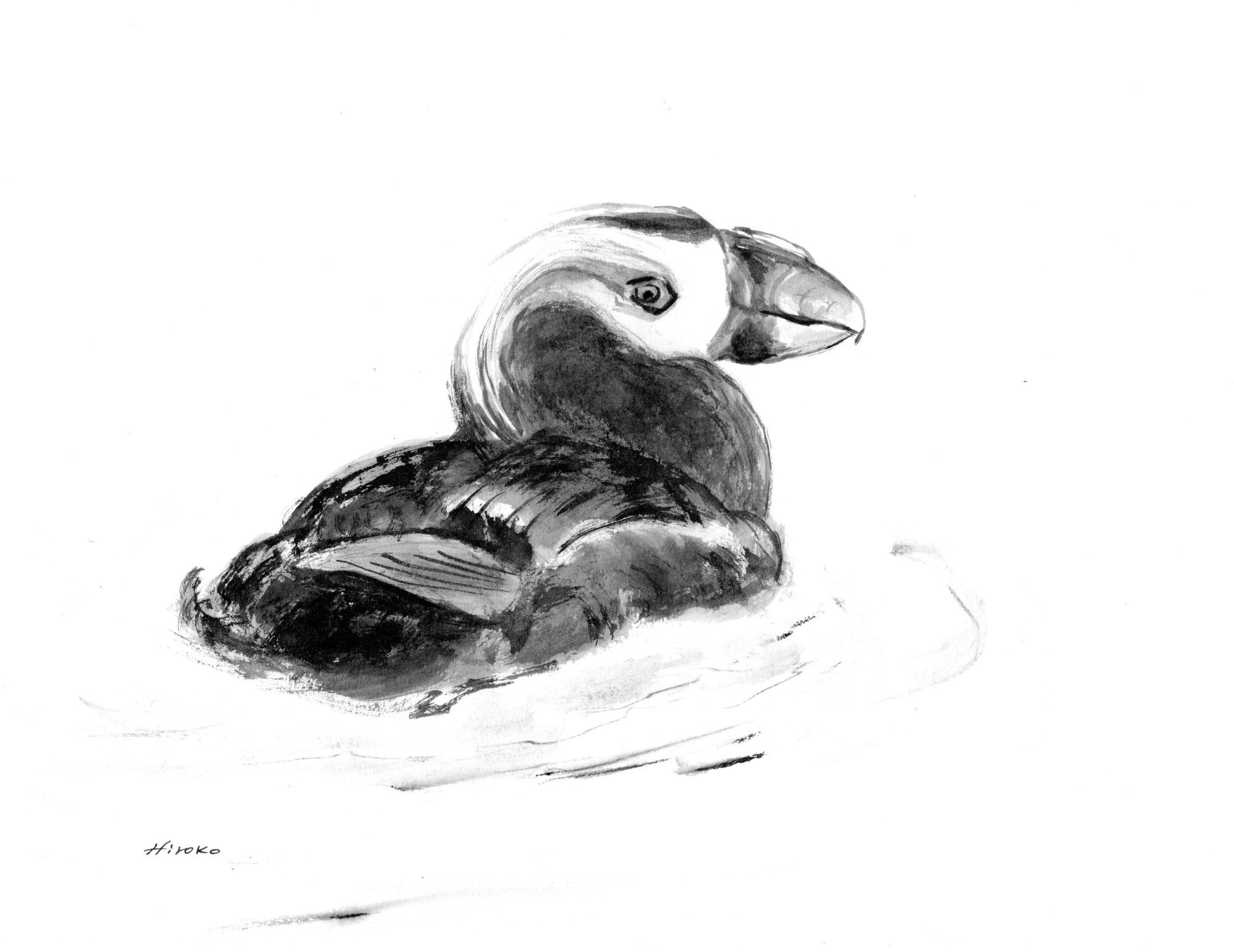 A black and white illustration of a Tufted Puffin.