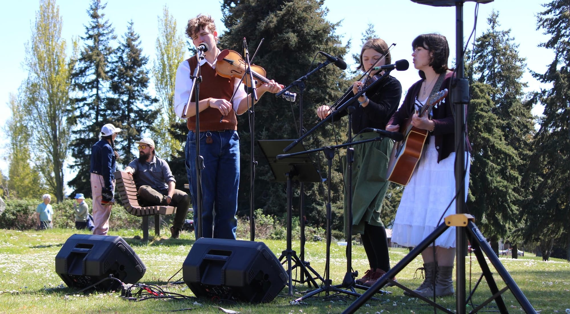 Two fiddle players and a guitar player in front of microphones and a PA with fir trees in the background. 