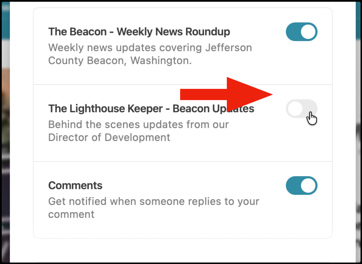 Detail of the Newsletter subscriptions page where users can subscribe or unsubscribe to The Lighthouse Keeper.