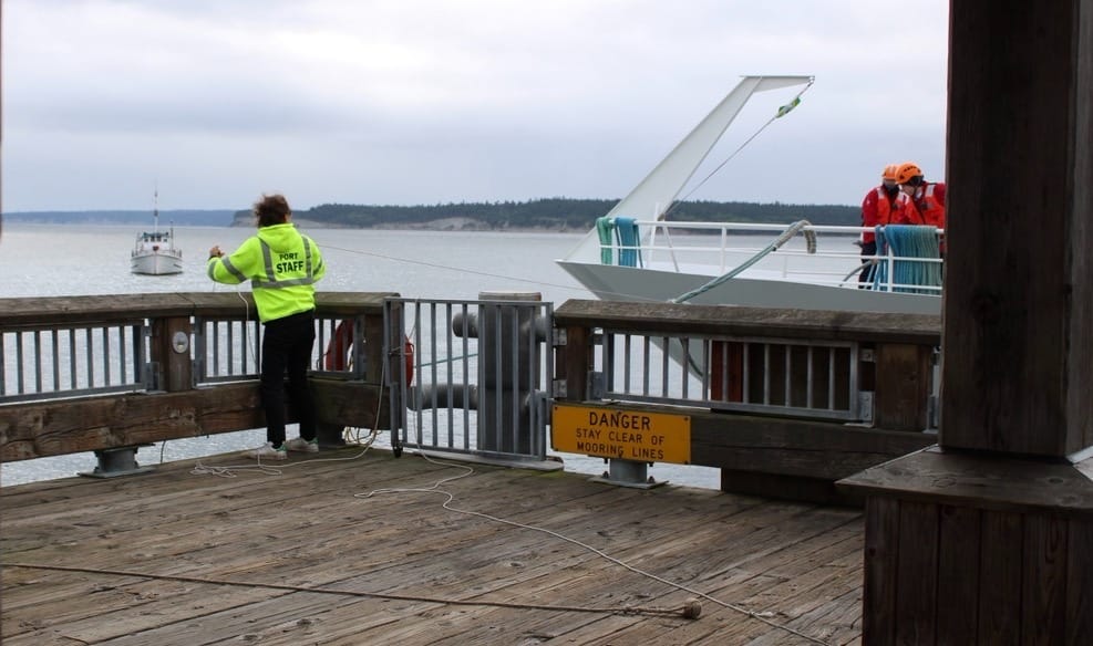 A single port employee securing the cruise ship, grabbing the line from the bow of the boat. 
