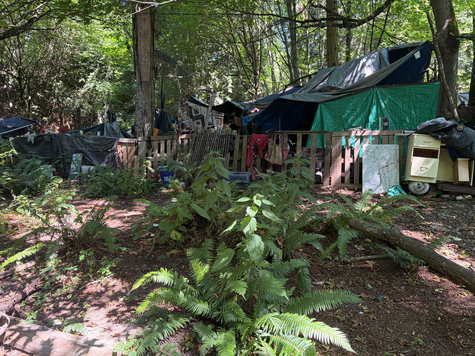 A fenced-in make-shift neighborhood with pallet fencing and a canopy of coverings.