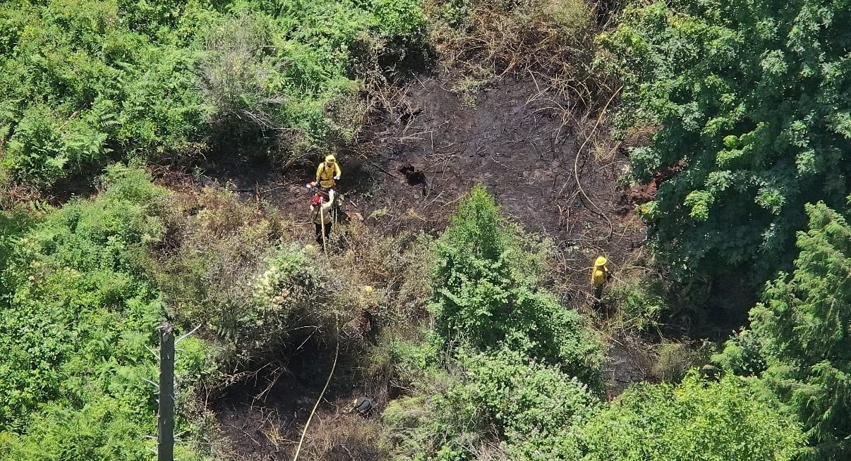 Aerial photo of EJFR containing the June 30 fire off of Mill Rd. Pictured is an overhead view of a scorched mark in a wooded area. 