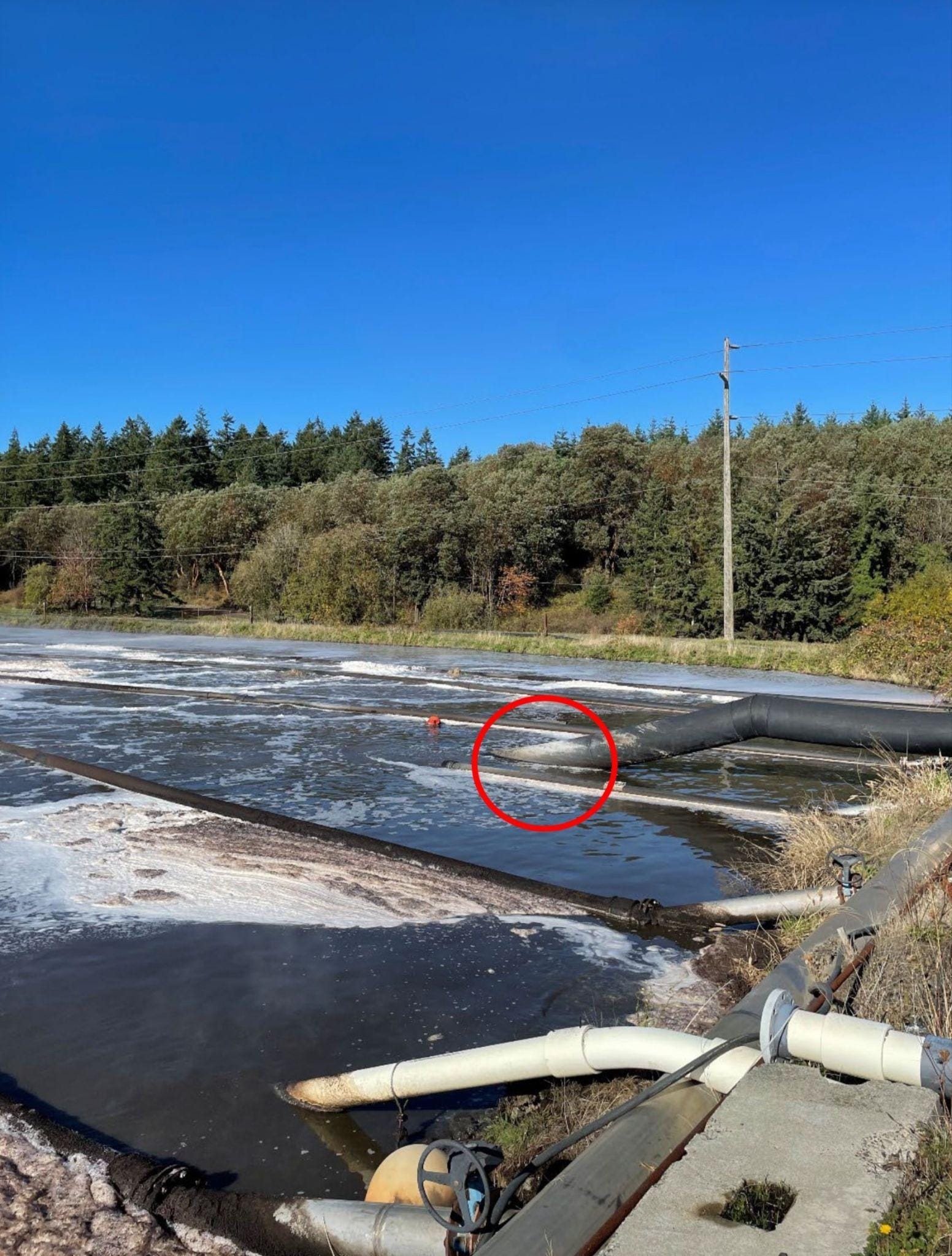 Disconnected lateral lines in the treatment pond.