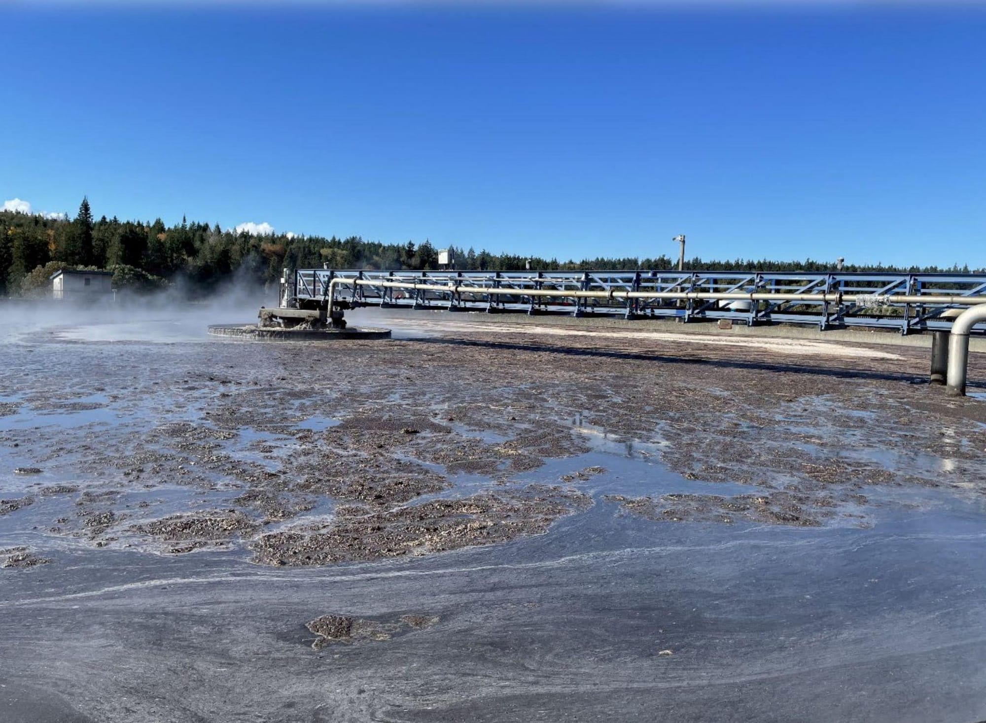 Sludge, foam and debris floating at the surface of the aeration pond.