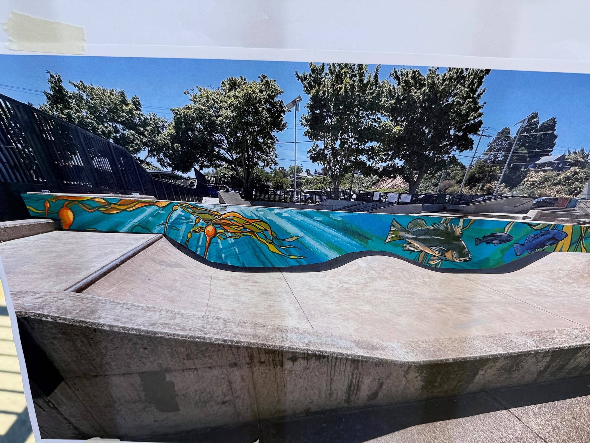 Salish Sea creatures swim across an underwater computer rendering of a mural wall at the skate park.