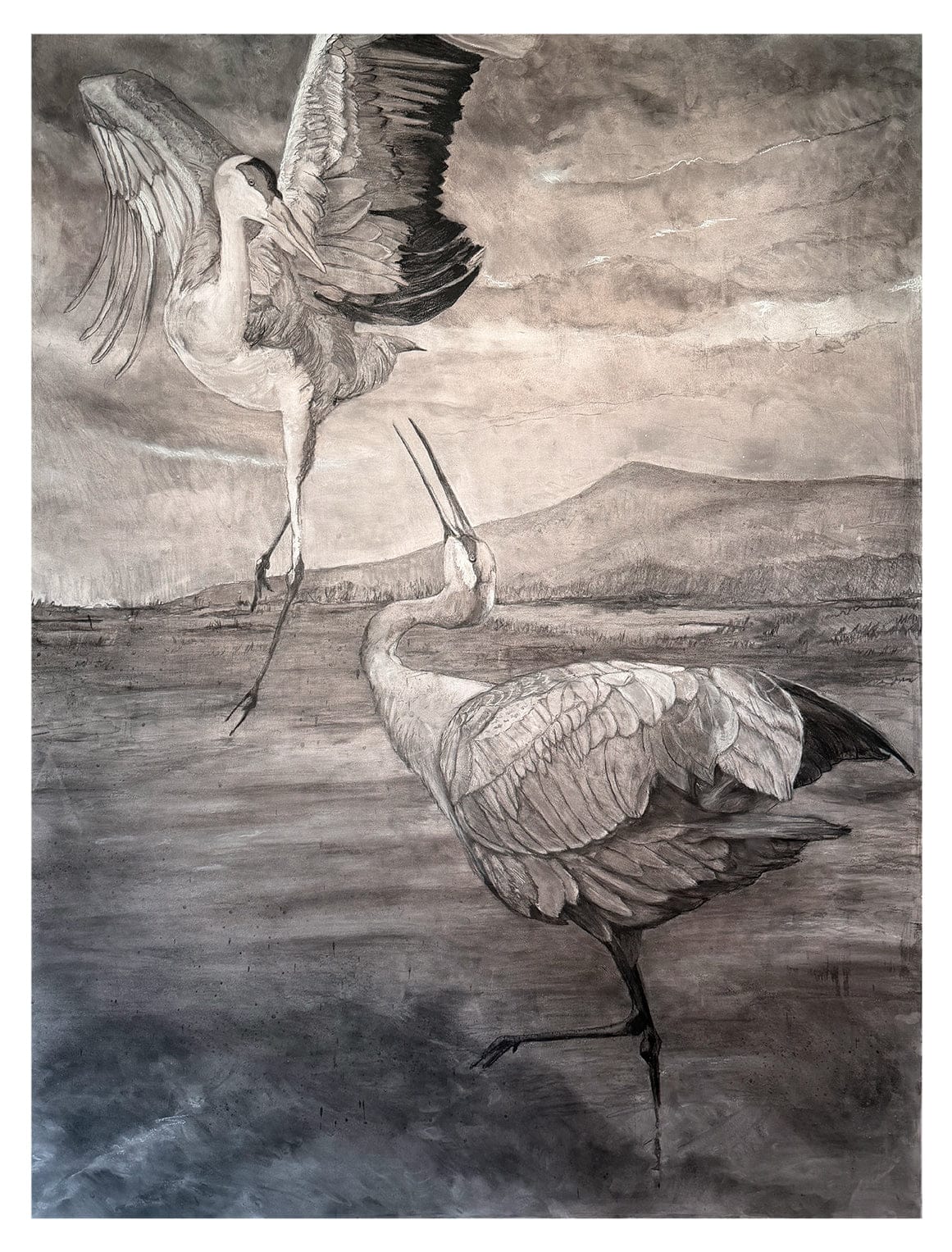 “They Dance,” a 56x42” charcoal piece of two blue herons by Kate Flores.