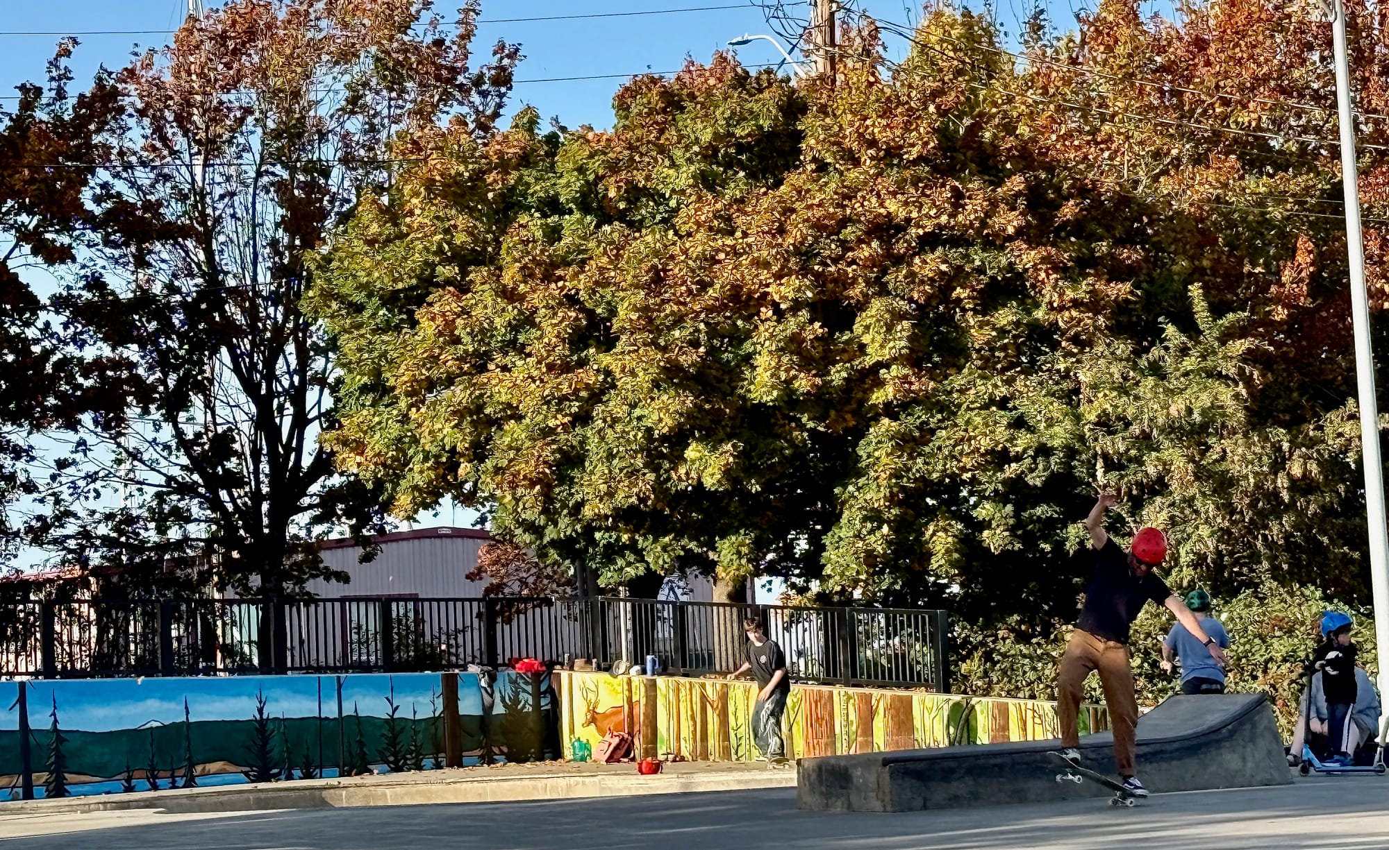 Murals depicting Pacific Northwest mountains, waters and wildlife line the interior and exterior walls of the Seamus Sims Skate Park, with changing fall trees in the background.