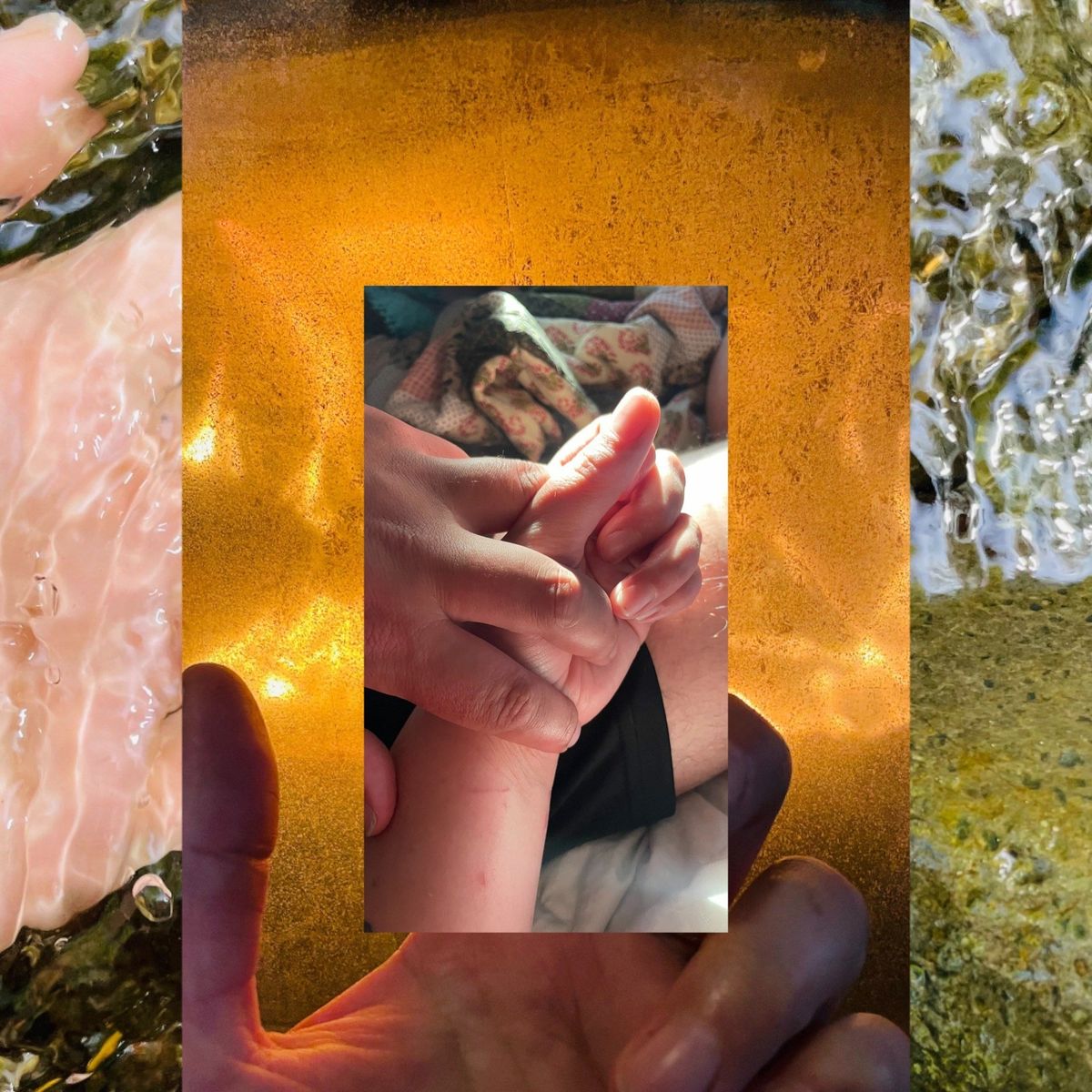 Feral Feelings: Stepping into the River