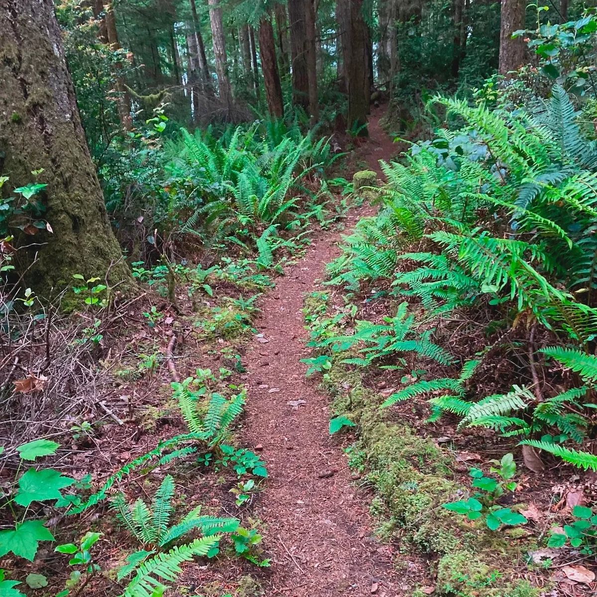 Words Words Words: Bow to The Sun, The Moon & The Stars