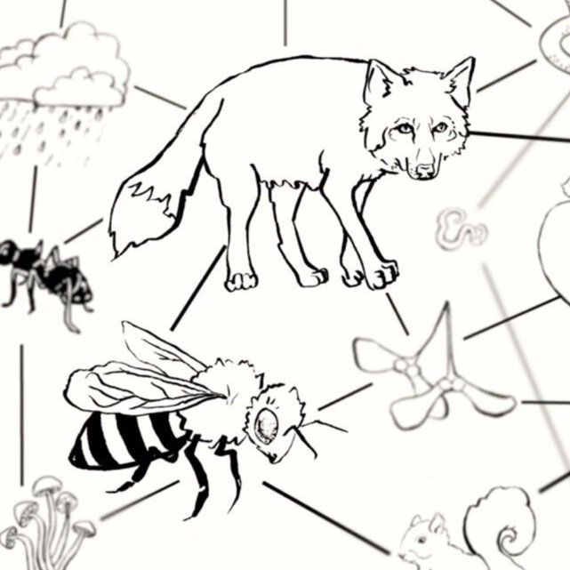 Citizen Screen: How often have you wondered if you make a difference in the world? If your actions have any impact?