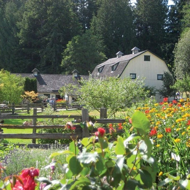 Concerts in the Barn Brings Free World-Class Chamber Music to Quilcene