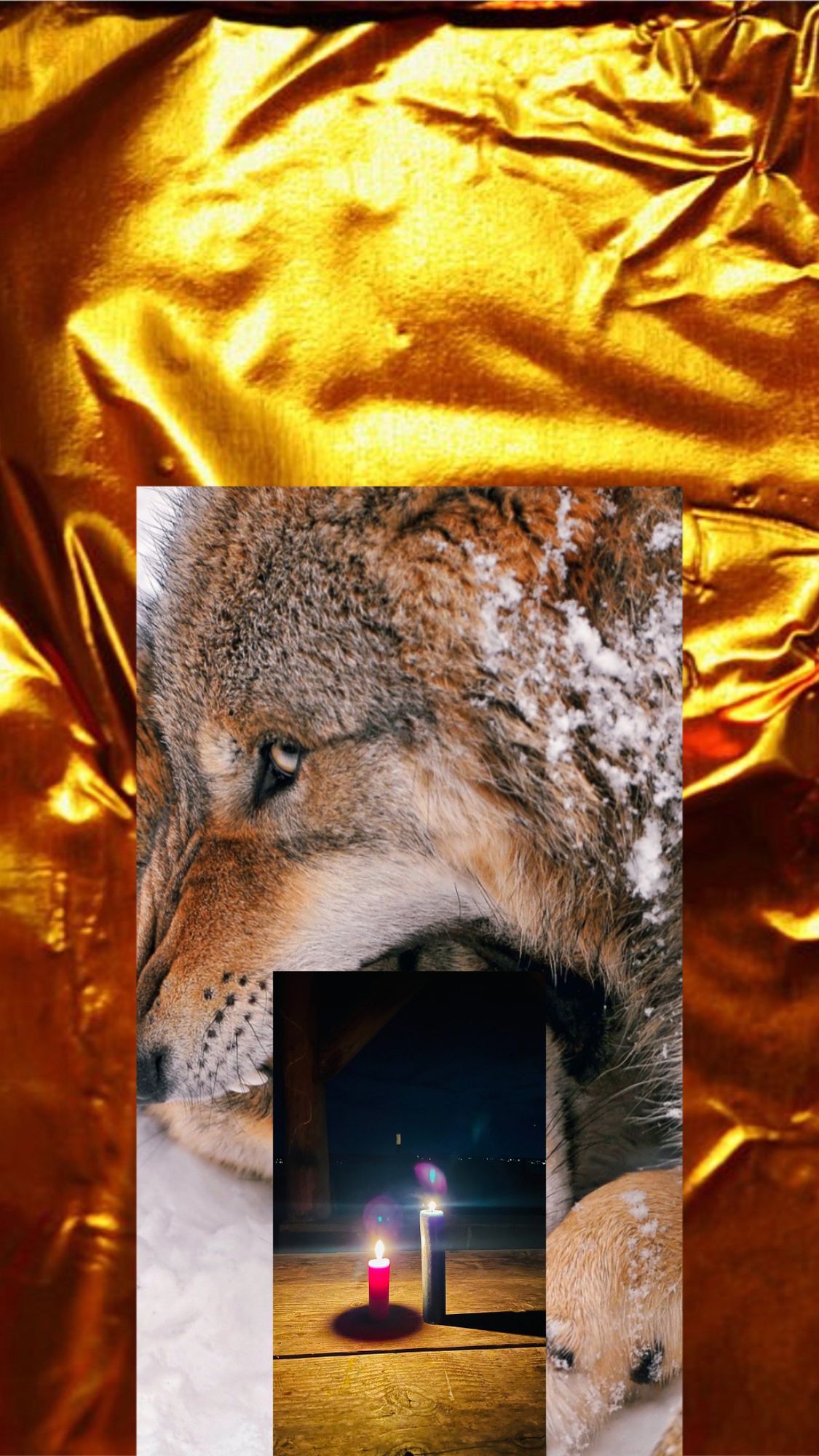 Feral Feelings: Unbinding From Creative Blocks