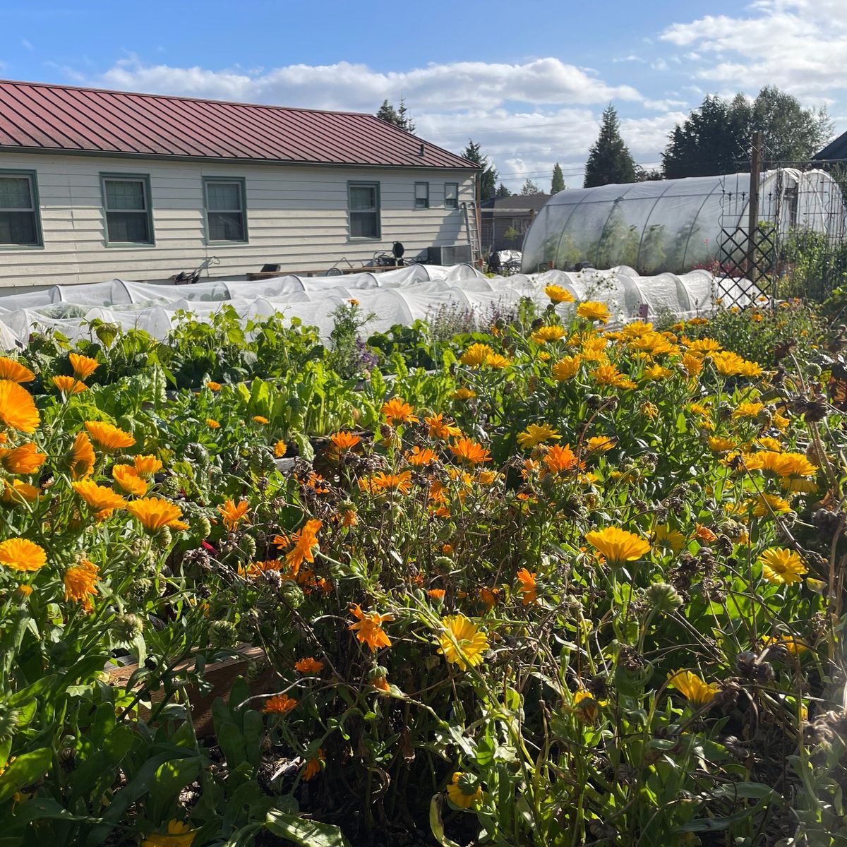 Quimper Grange has a History Worth Growing On