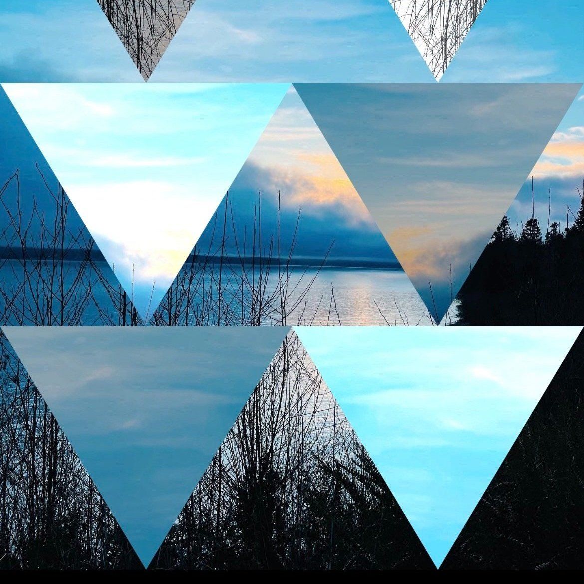 Feral Feelings: The Power of Triangles