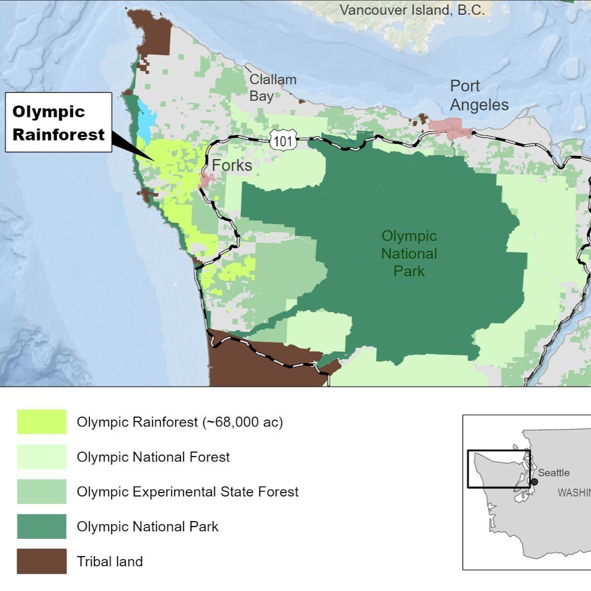 EFM Secures Major Carbon Credit Agreement with Microsoft, Aims for Enhanced Forest Health and Economic Viability