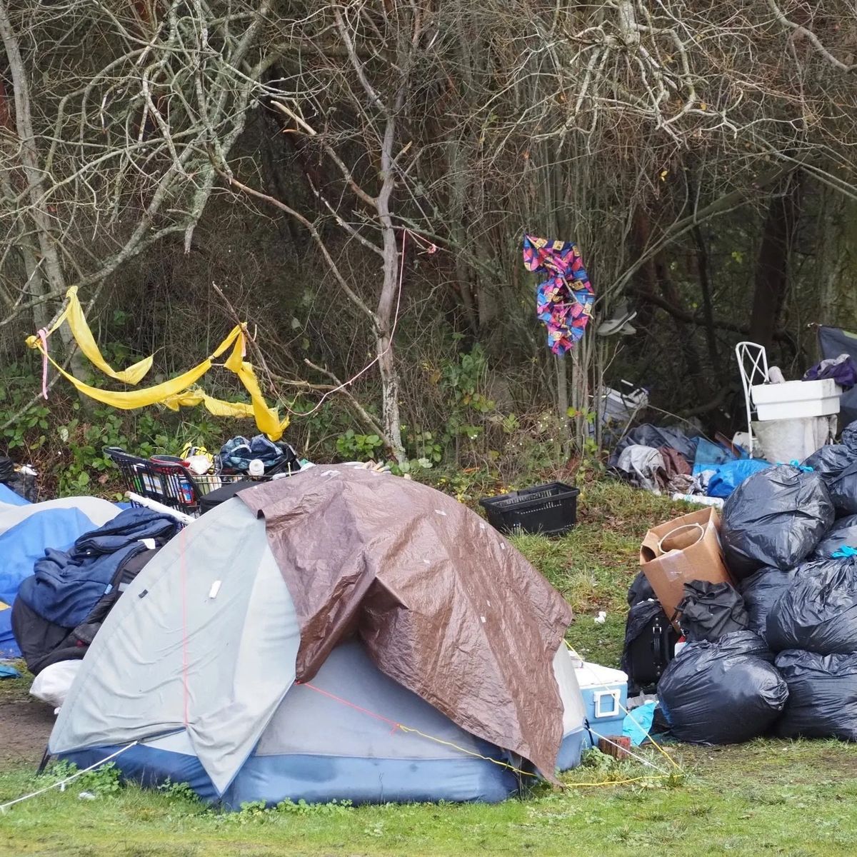 Early efforts hope to better evaluate local homelessness