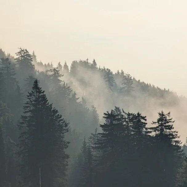 WA officials take stock as wildfire season winds down