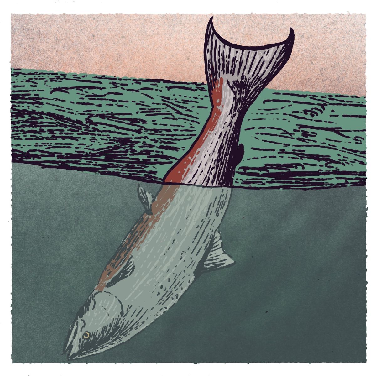 Feral Feelings: Waving, not Drowning