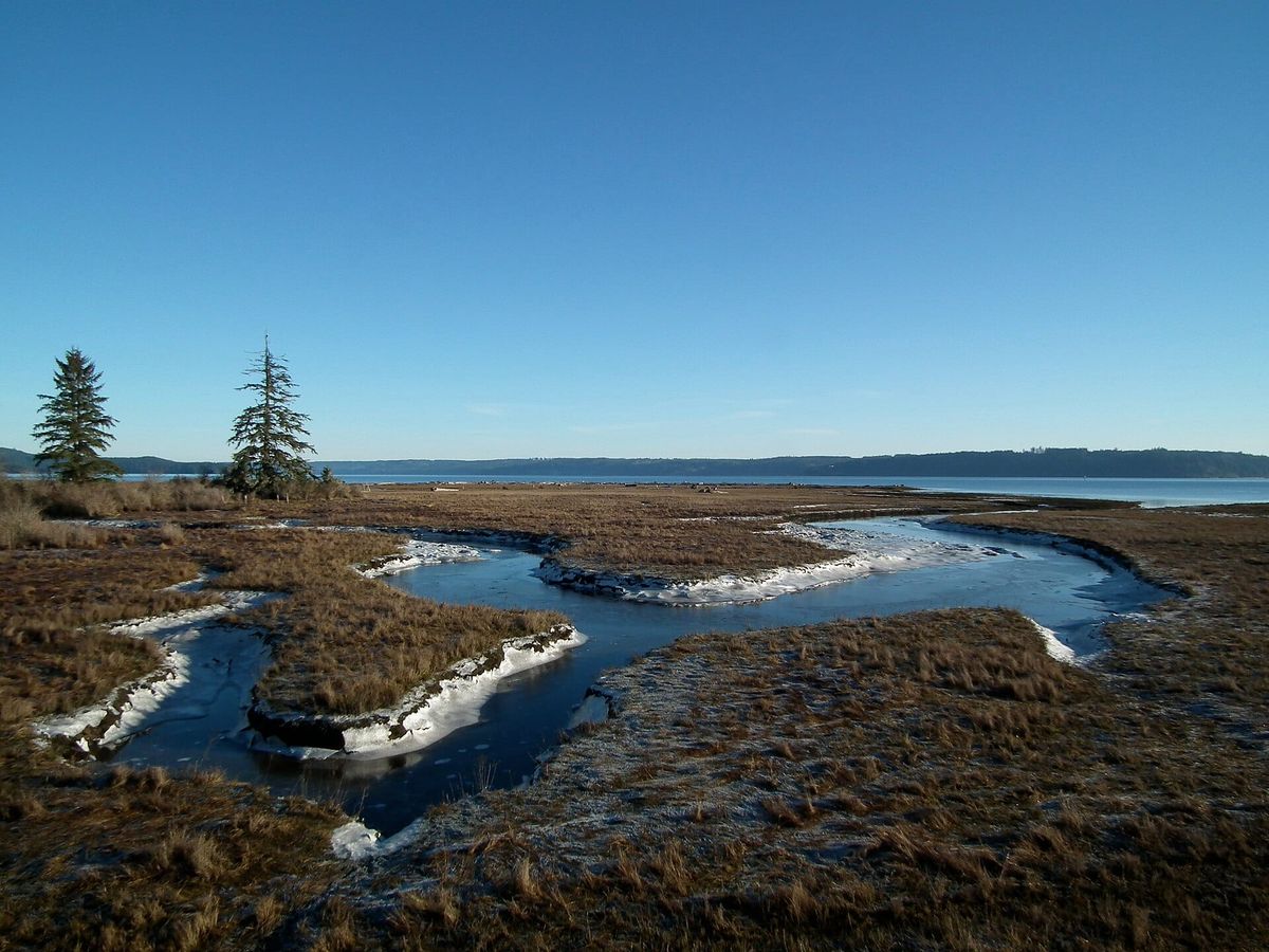 Opinion: Kill the Resort. Build the Town.