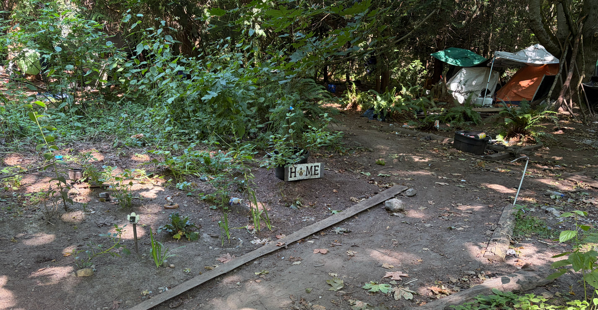 A tended garden with a path and tents and tarps in the background.