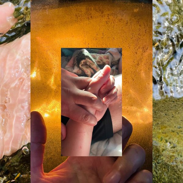 Feral Feelings: Stepping into the River