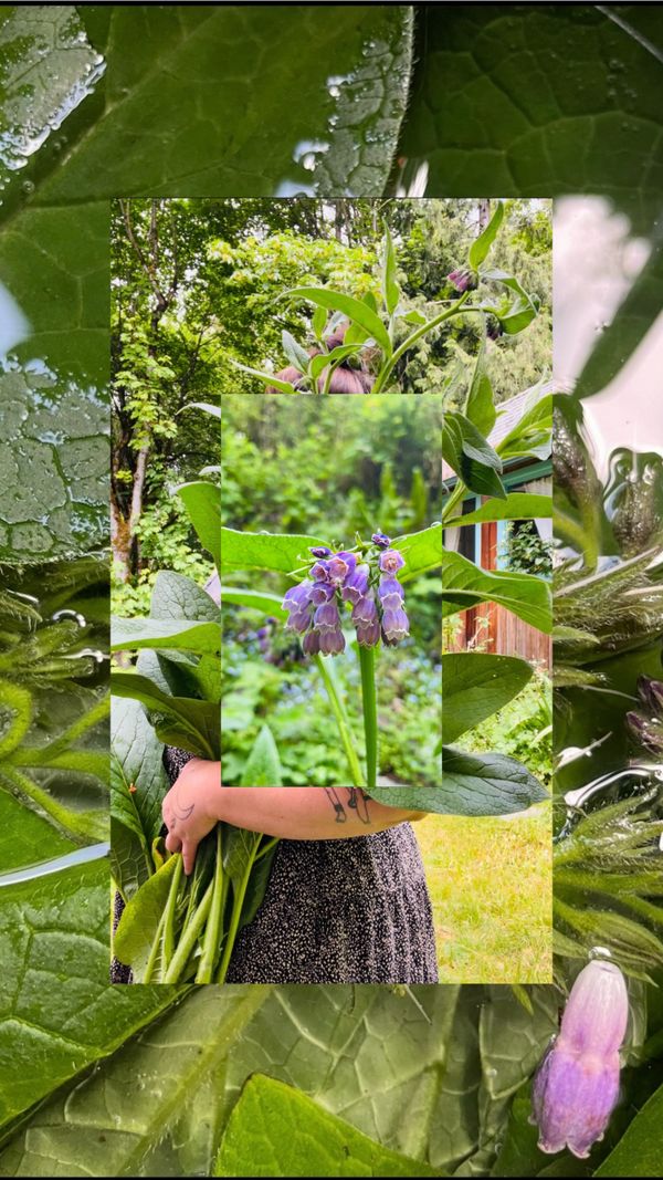 Feral Feelings: Moving Away from Burnout