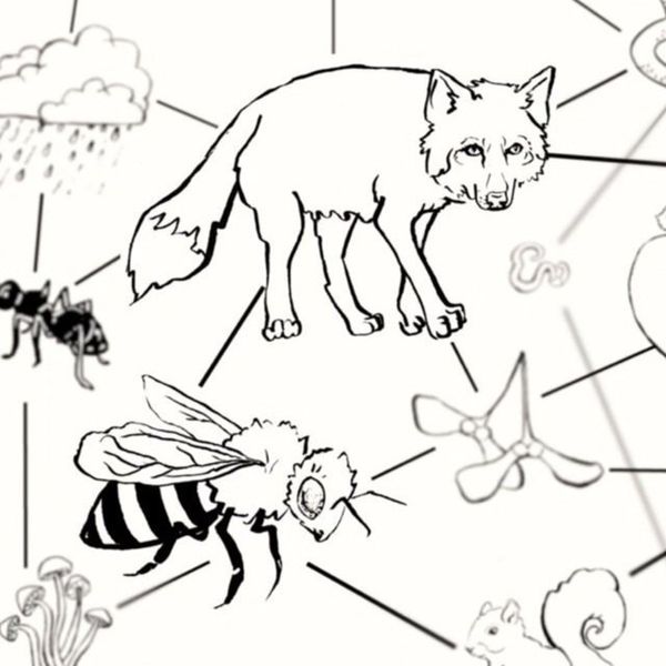 Citizen Screen: How often have you wondered if you make a difference in the world? If your actions have any impact?