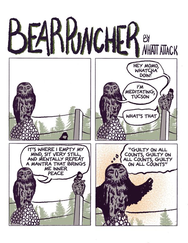 Bear puncher