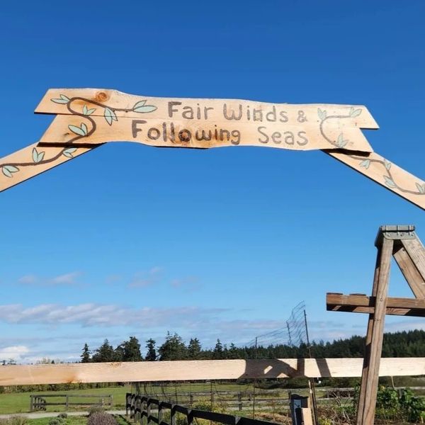 Food Bank Growers Cultivate Hope and Community Resilience Through Sustainable Gardening Initiatives