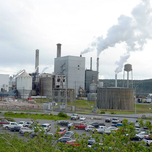 Paper Mill Fined for Two Discharges Into Bay