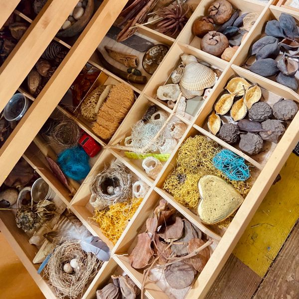 A Practice Of Noticing - Artist Kim Kopp