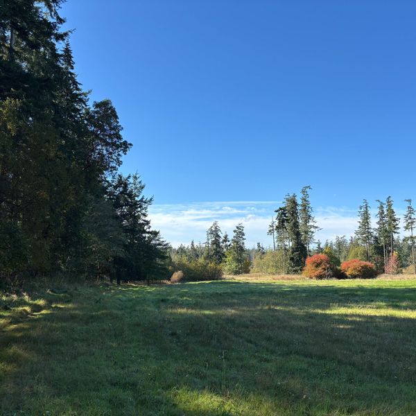 Marrowstone Residents Express Concerns Over Proposed Conservation Burial Ground