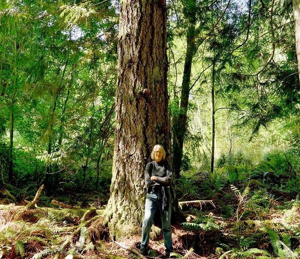 Court Rules in Favor of DNR in Last Crocker Timber Sale, Legacy Forest Defense Coalition Considers Appeal