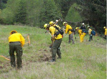 Increased Wildfire Risk in Western Washington: EJFR Encourages Preparedness and Safety Measures