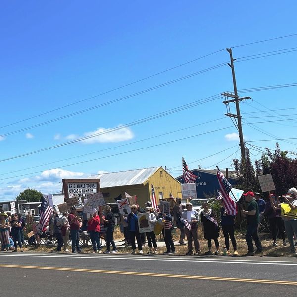 Jefferson County Joins Nationwide No Kings Rally, Advocating for Rights and Democracy
