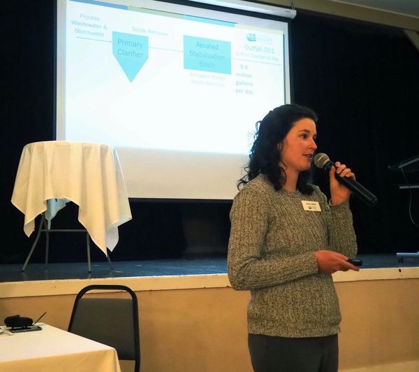 Proposed Wastewater Permit for Paper Mill Raises Concerns Over Potential Pollutant Levels