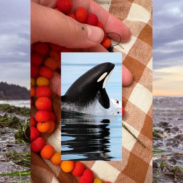 Feral Feelings: Majestic Rage