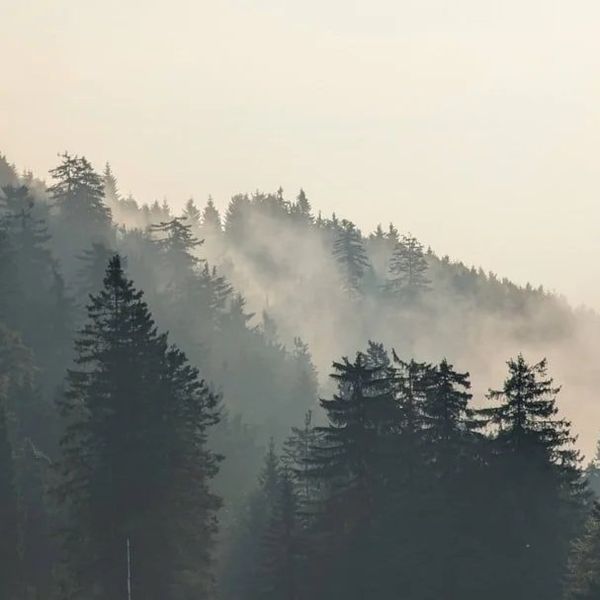 WA officials take stock as wildfire season winds down