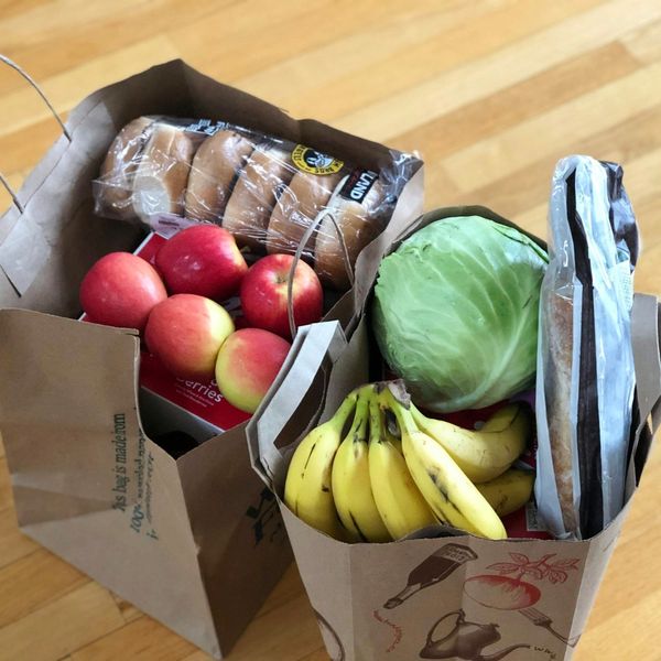 SNAP Benefits Secured for Some Amid Ongoing Legal Battles, Local Community Steps Up to Combat Food Insecurity