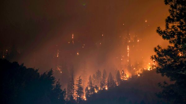 In wildfire-prone Washington, ‘collaboration’ on forest management gives way to timber interests