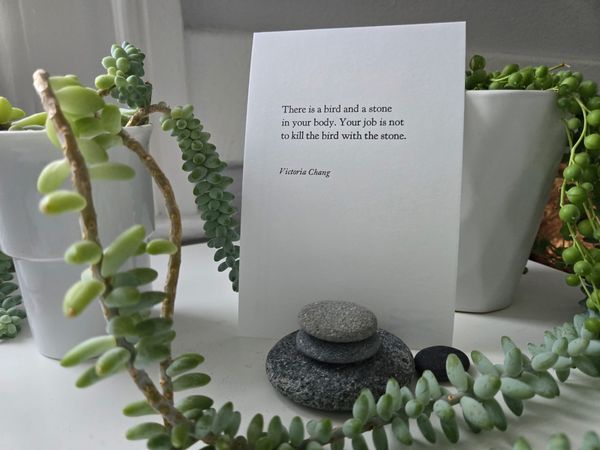 Desk with succulents, featuring words by poet Victoria Chang: “There is a bird and a stone in your body. Your job is not to kill the bird with the stone.”