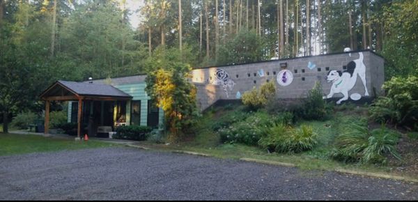 A low gray cinder block building with green accent amidst greenery and in front of a stand of fir trees. 
