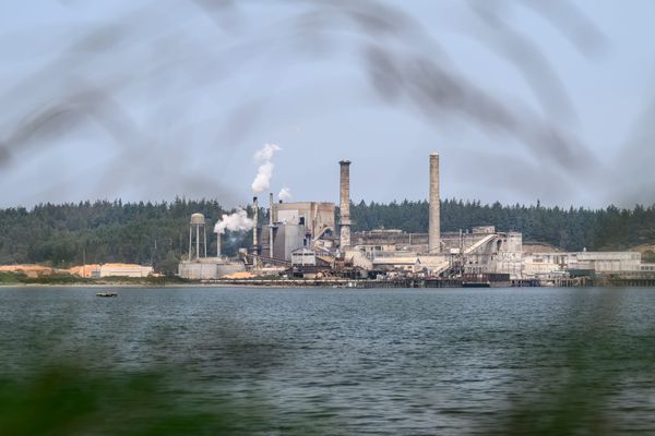 An Investigation into the Paper Mill’s Operations Reveals Subpar Operational Behavior and Concerning Effects on Ecological and Human Health