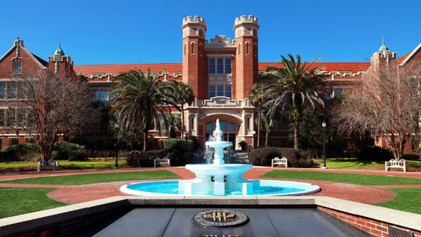 The Party School Is Having a Revival