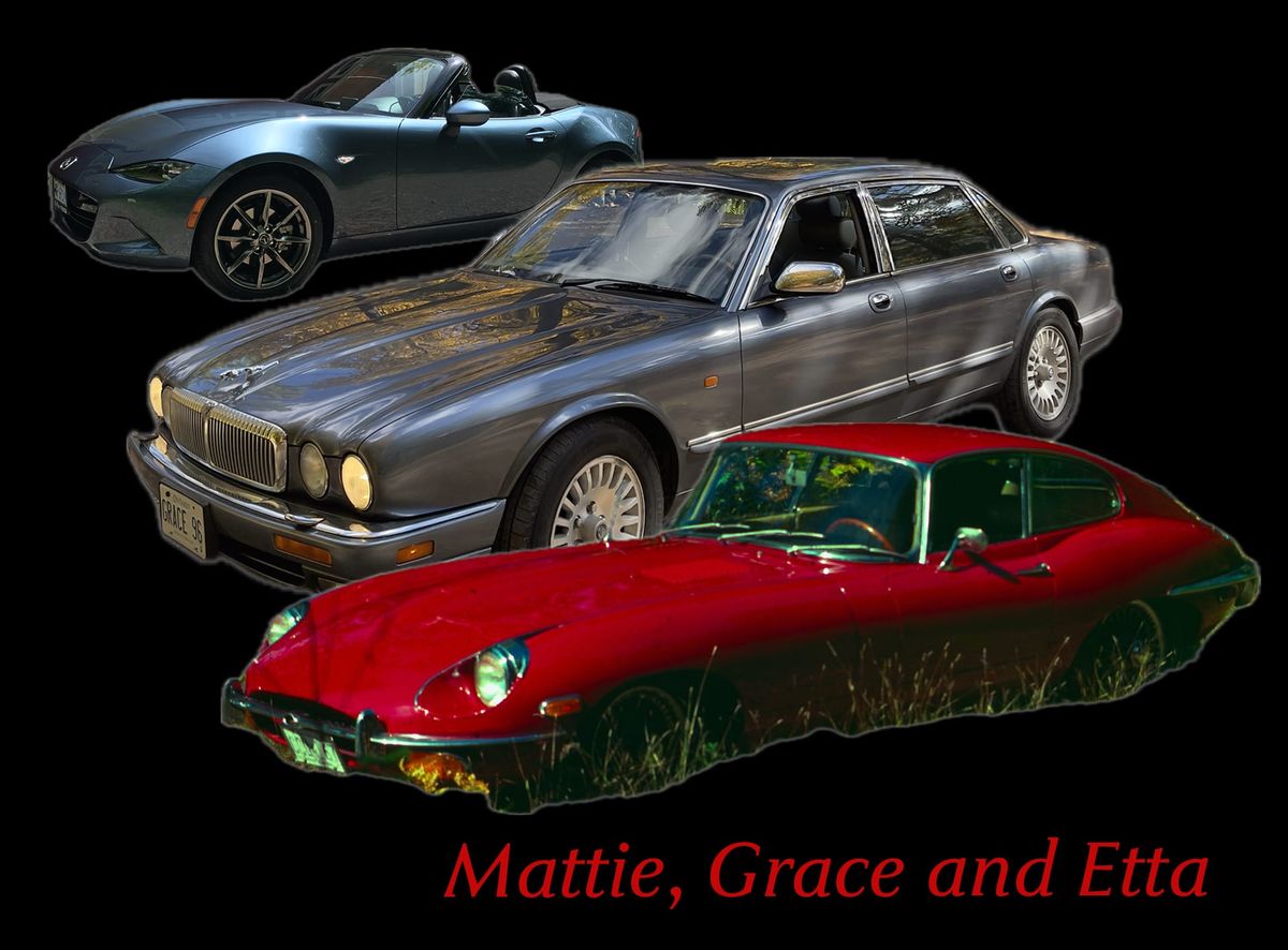 Introducing Mattie, Grace and Etta
