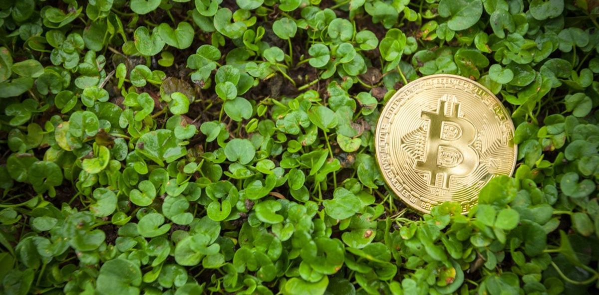 Bitcoin gra kluczową rolę w przyszłości czystej, odnawialnej energii