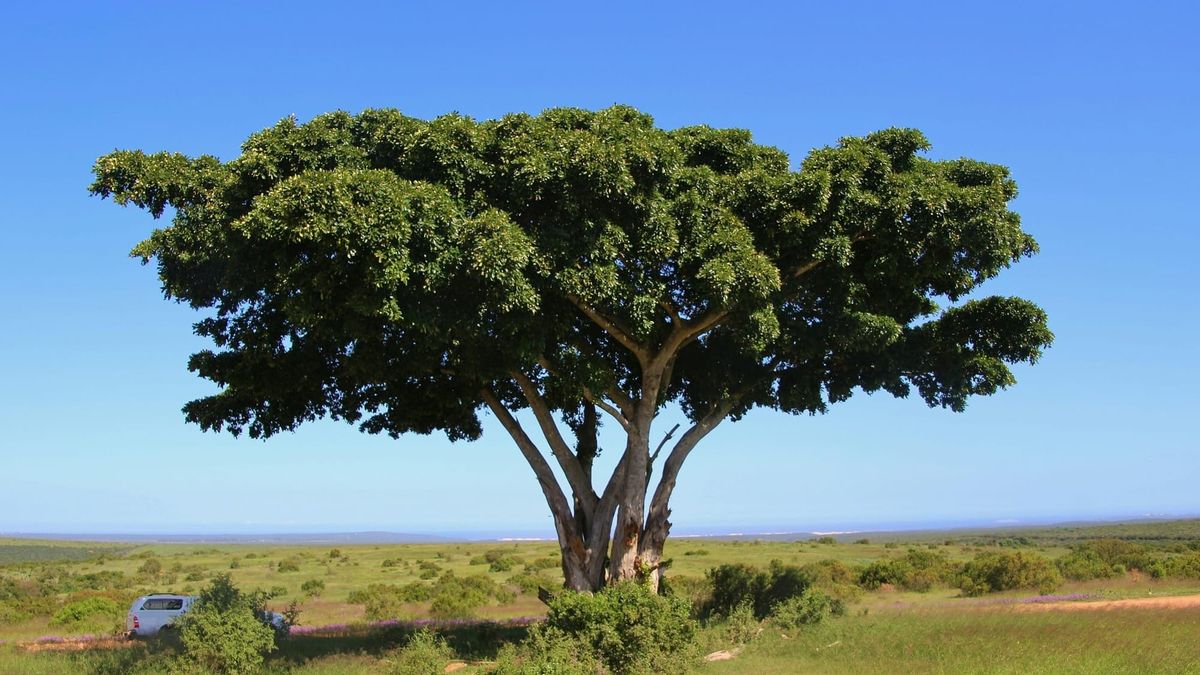 Friction vs Foundation in design teams.