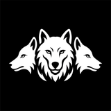 Extended Pack Collective