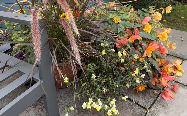 Intentional Parenting 3: The Root of Misbehaviour