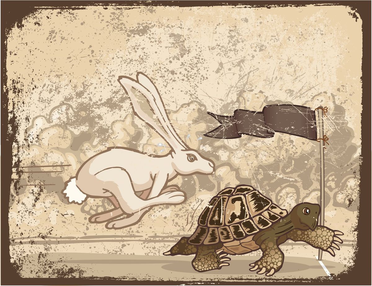 Hare, There and Everywhere: Part Three